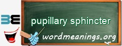 WordMeaning blackboard for pupillary sphincter